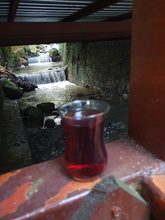 Fotoğraf 20