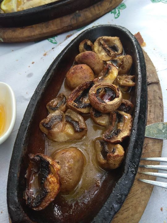 Fotoğraf 24