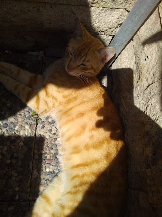 Fotoğraf 20