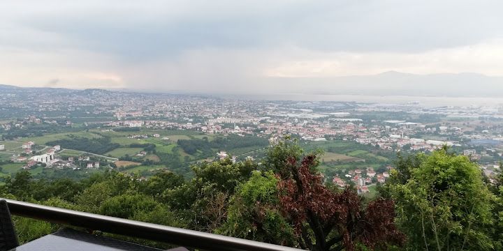 Fotoğraf 41
