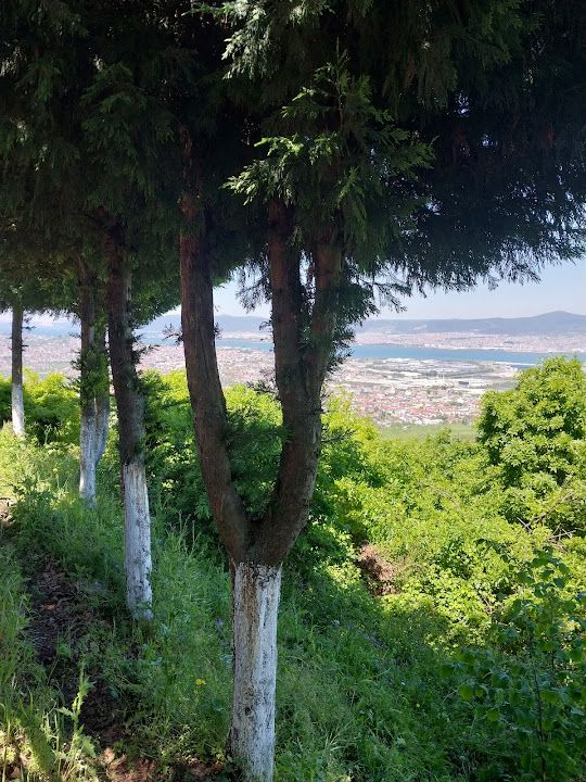 Fotoğraf 39