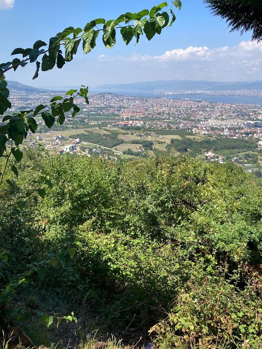 Fotoğraf 13