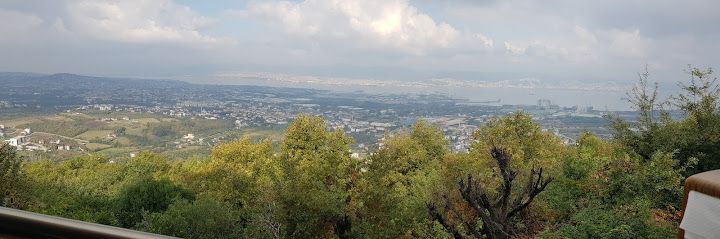 Fotoğraf 16