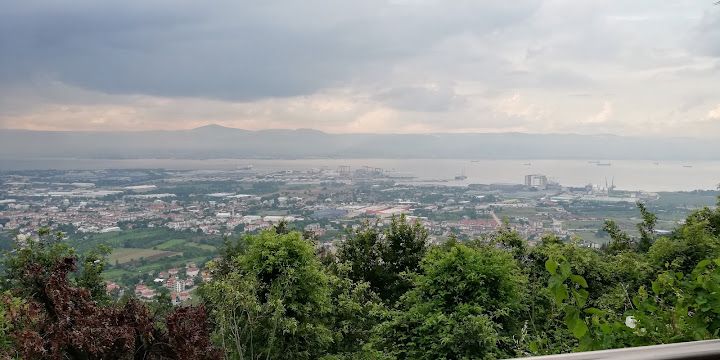 Fotoğraf 27