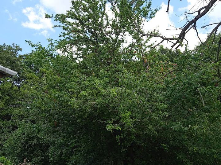 Fotoğraf 23