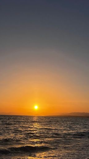 Yorum fotoğrafı 9