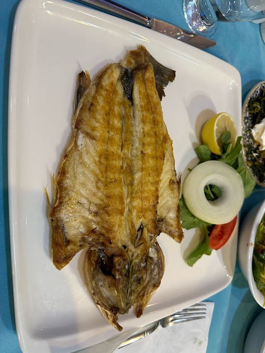 Fotoğraf 31