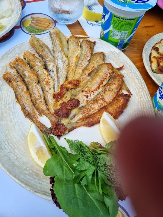 Yorum fotoğrafı 4
