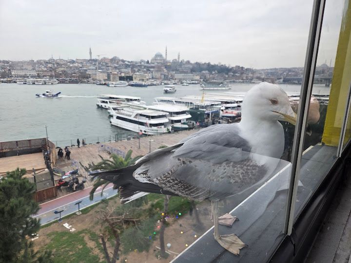 Yorum fotoğrafı 3