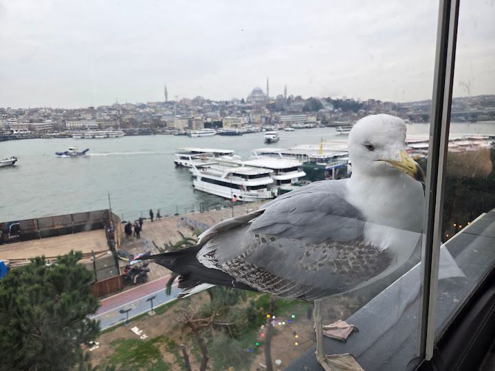 Yorum fotoğrafı 4