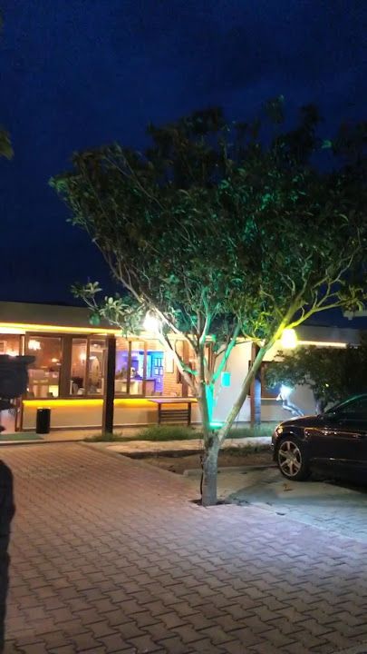 Fotoğraf 19