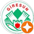 yener yalcin