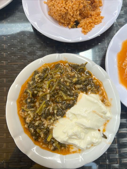 Fotoğraf 47