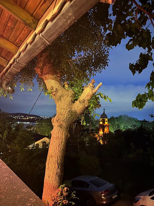 Fotoğraf 53