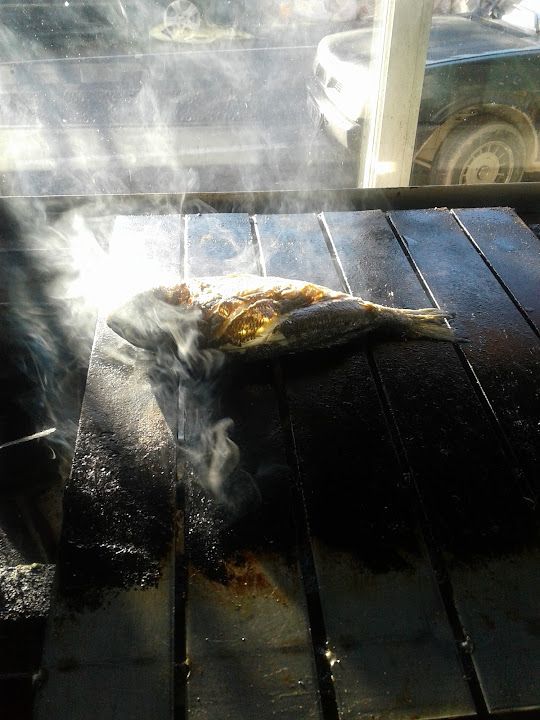 Fotoğraf 14