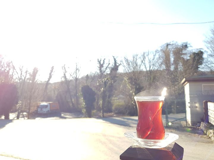 Fotoğraf 45