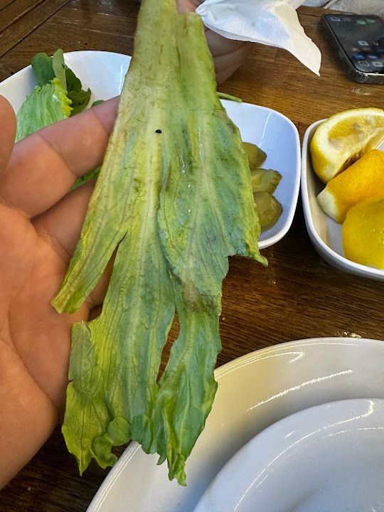 Fotoğraf 19