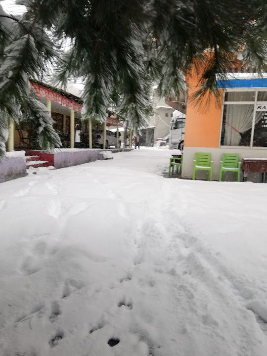 Fotoğraf 4