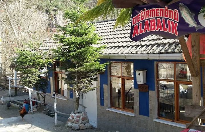 Değirmenönü Alabalık Tesisi