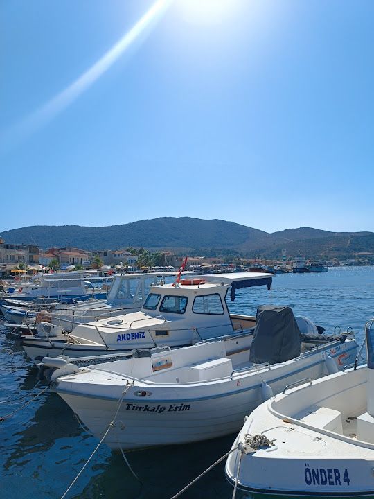 Yorum fotoğrafı 1