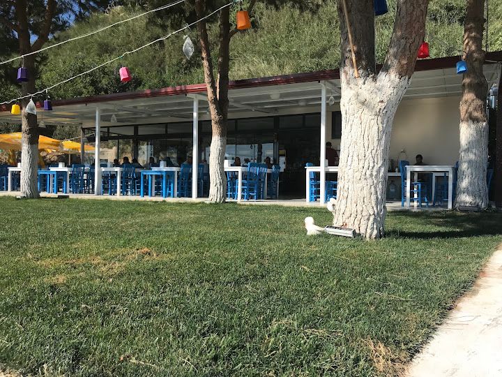 Yorum fotoğrafı 2