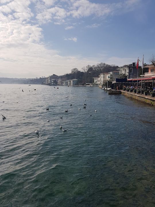 Yorum fotoğrafı 2