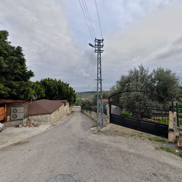 Fotoğraf 2