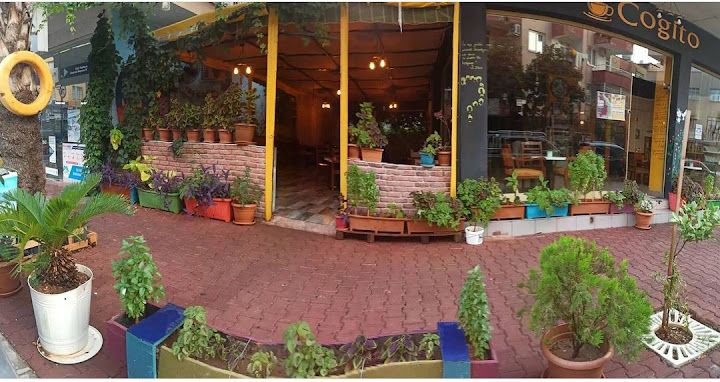 Cogito Coffee