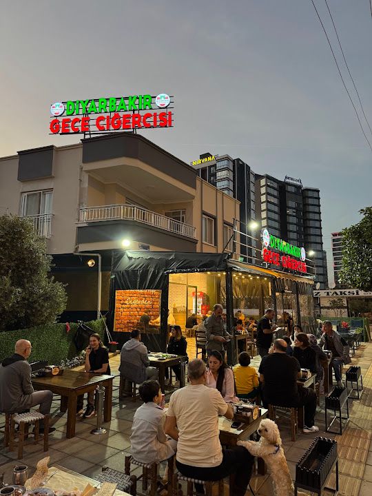 Diyarbakır Gece Ciğercisi