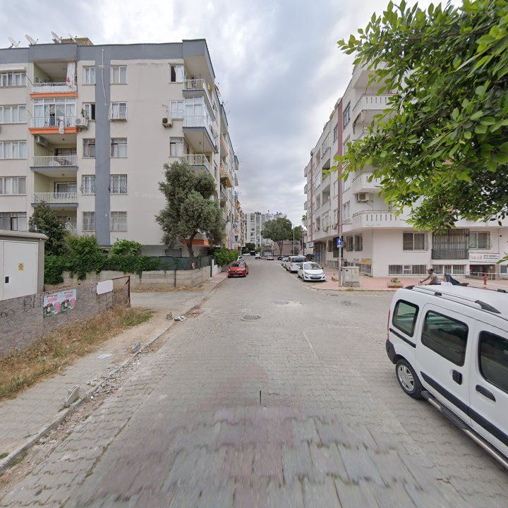 Fotoğraf 3