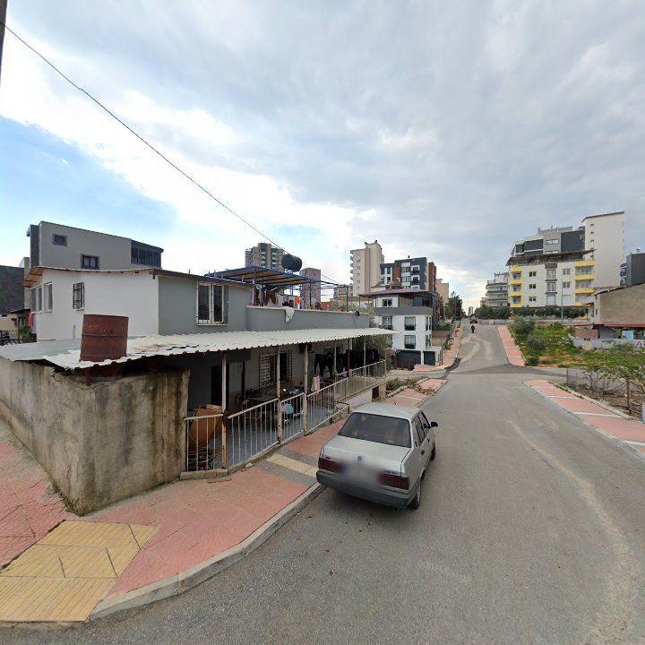 Fotoğraf 5