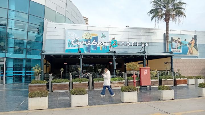 Palm City Carıbou Coffee