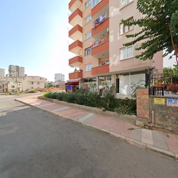 Fotoğraf 3