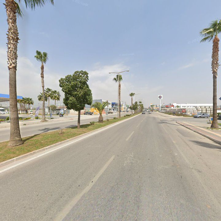 Fotoğraf 3