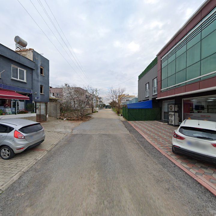 Fotoğraf 3