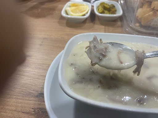 Yorum fotoğrafı 4