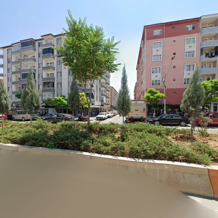 Fotoğraf 3