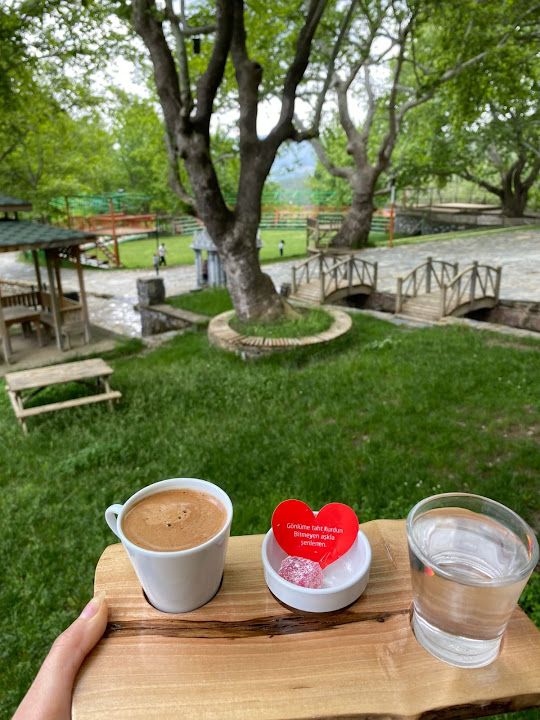 Fotoğraf 17