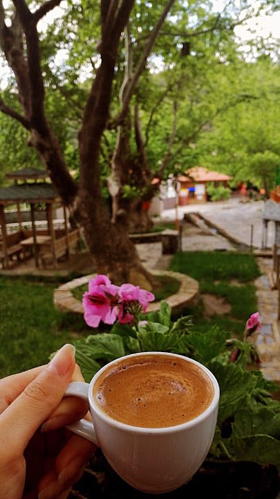 Fotoğraf 14