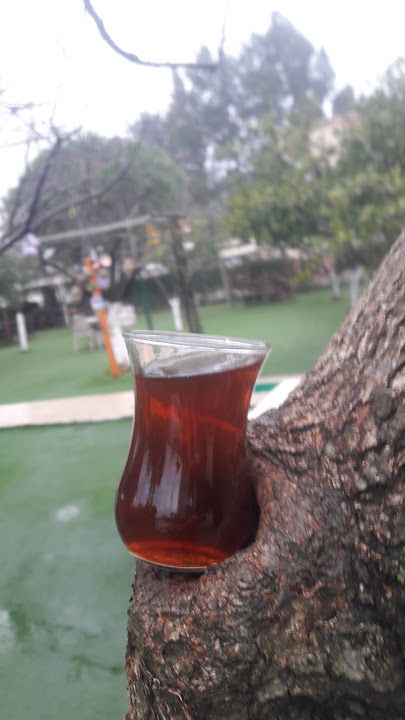 Fotoğraf 20