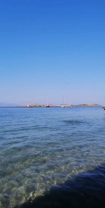 Fotoğraf 12
