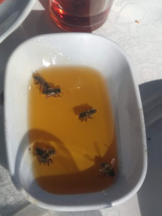 Fotoğraf 20