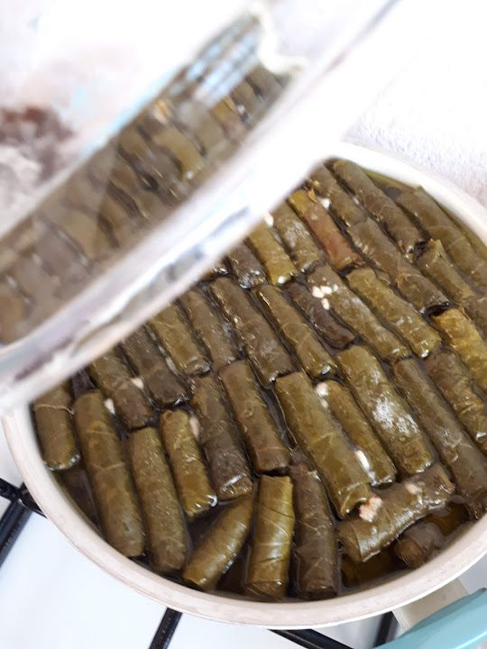 Fotoğraf 17