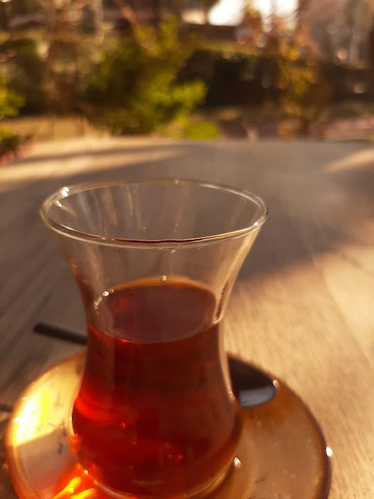 Fotoğraf 19