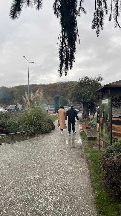Fotoğraf 83