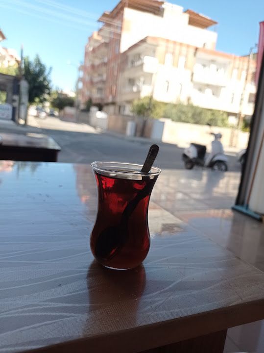 Fotoğraf 16