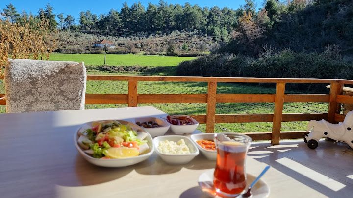 Fotoğraf 37