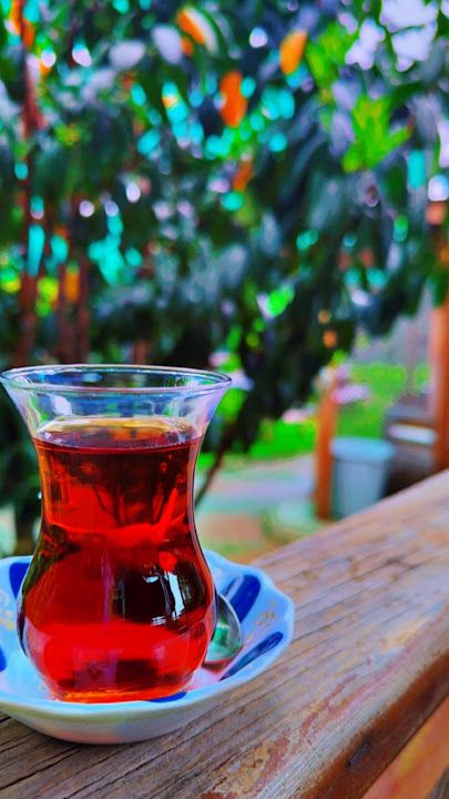 Fotoğraf 35