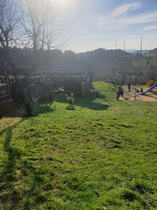 Yorum fotoğrafı 3