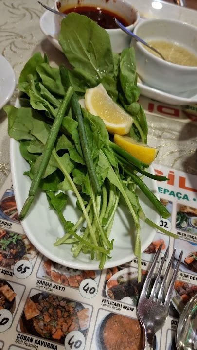 Fotoğraf 41